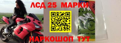 эйфоретик Кулебаки