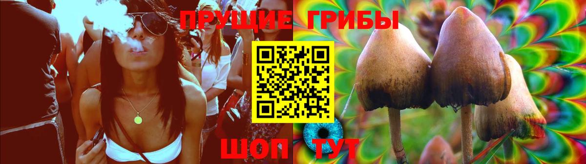 Тулун  Псилоцибиновые грибы GOLDEN TEACHER  Вход с VPN 